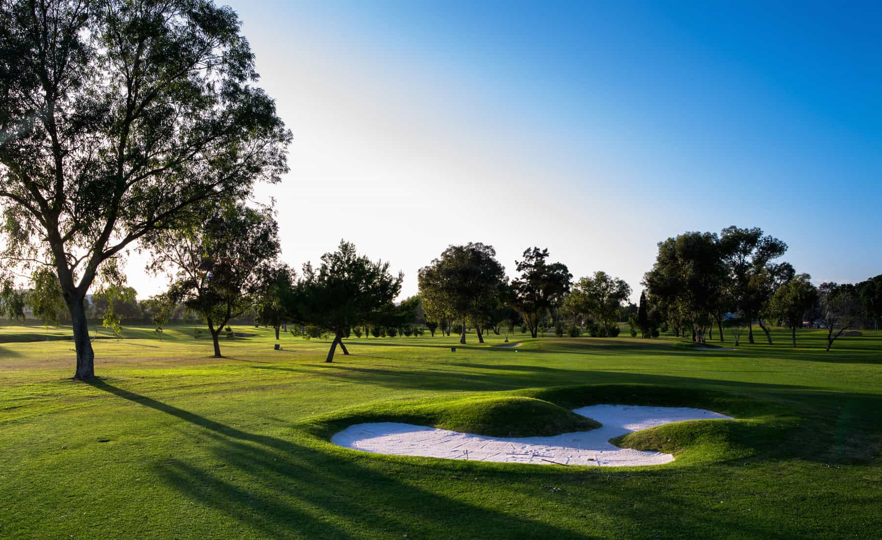 A sunny golf course with a sand bunker in the foreground, surrounded by trees and clear blue sky.