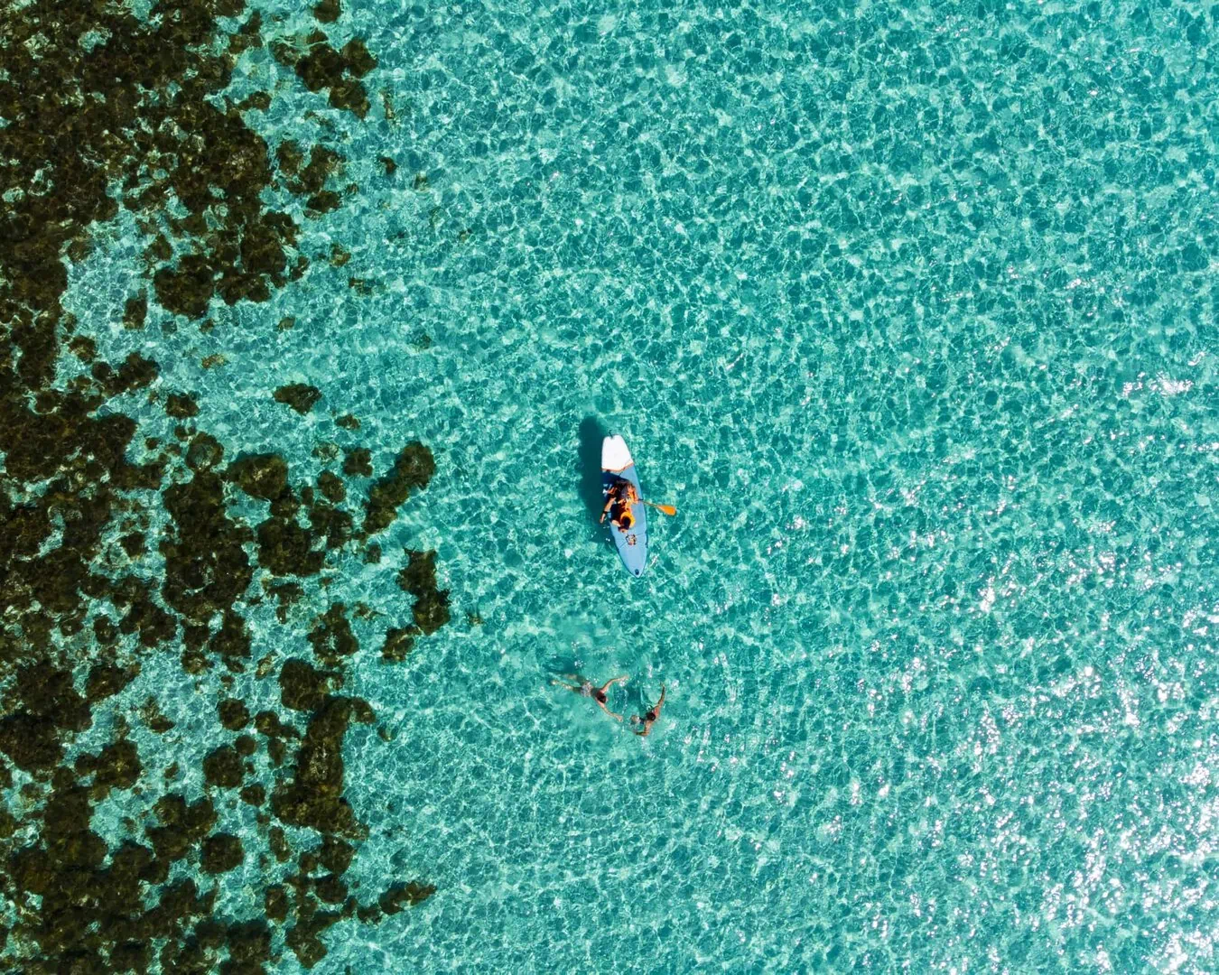 An aerial view captures a person kayaking on clear turquoise waters near a patch of dark seaweed or rocks—a scene straight from The Ultimate Malta Bucket List.