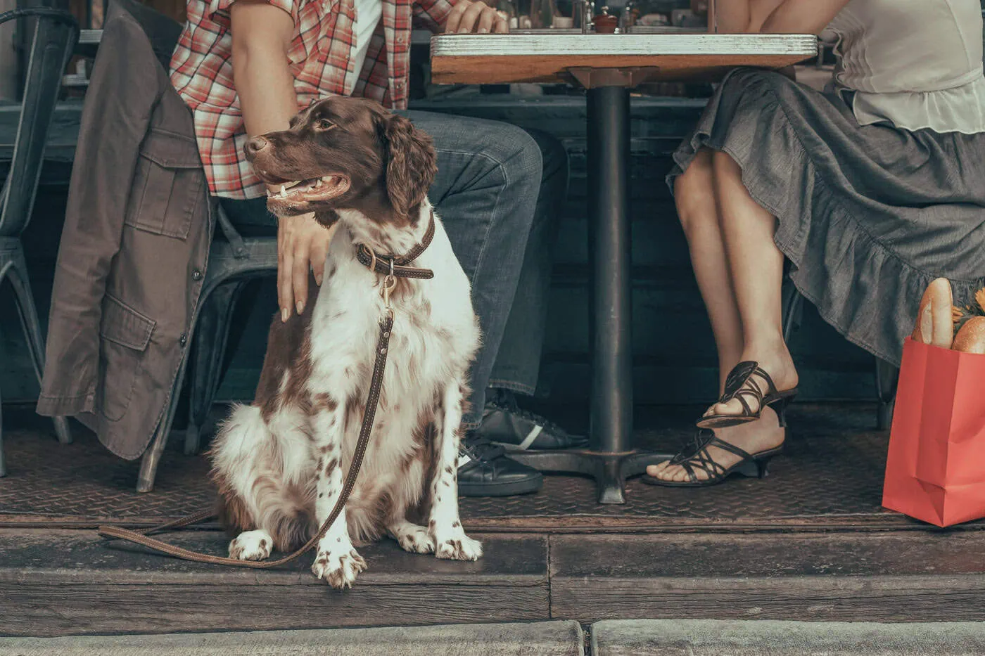 Dog sitting on the ground near two people at an outdoor café table, one person rests a hand on the dog's back, red shopping bag beside the table.