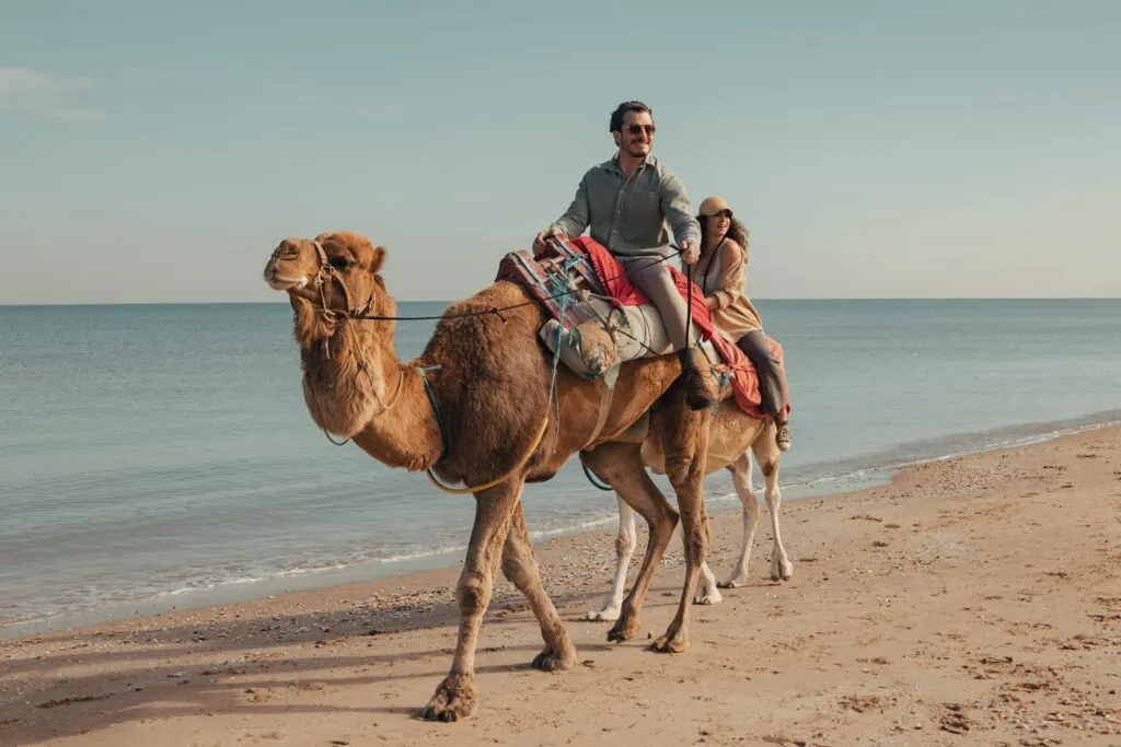 Two people riding a camel on a sandy beach near the ocean under a clear sky.