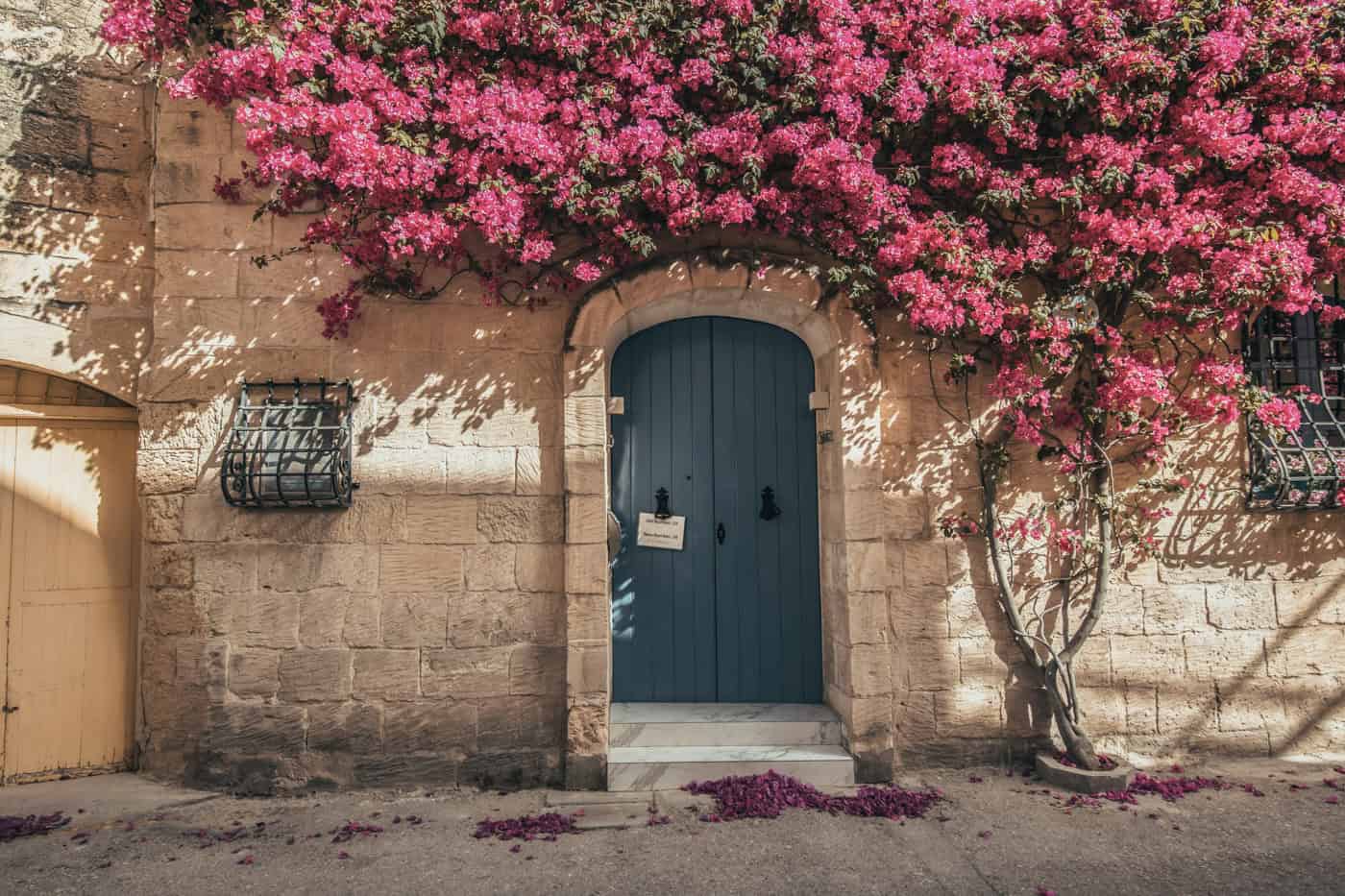 A blue door set in a stone wall is framed by vibrant pink bougainvillea flowers. Shadows fall on the ground, and a small sign hangs on the door.