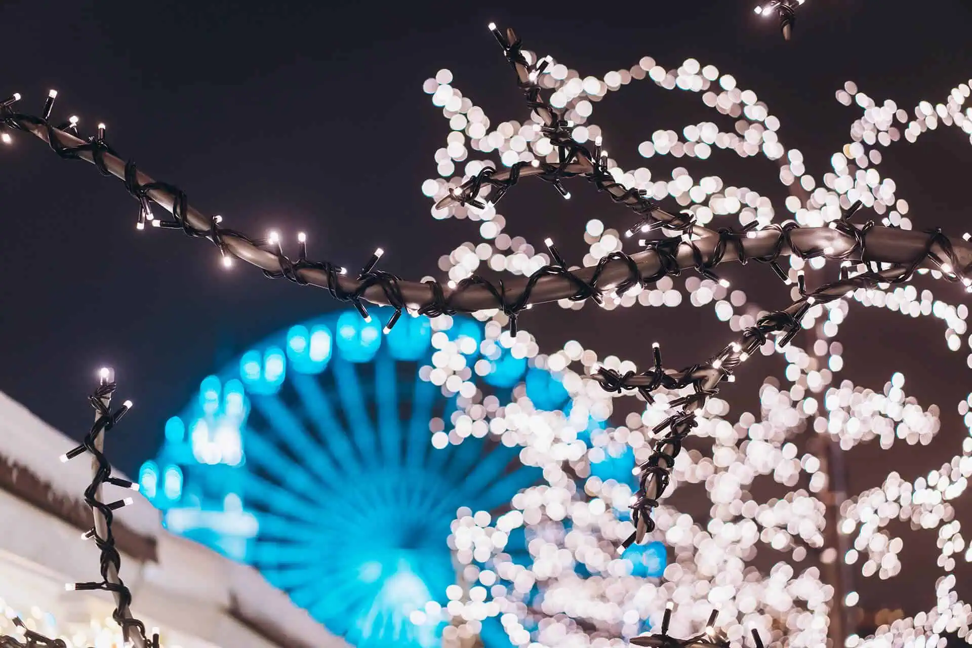 Close-up of tree branches wrapped in string lights, with a glowing Ferris wheel in the blurred background at night.